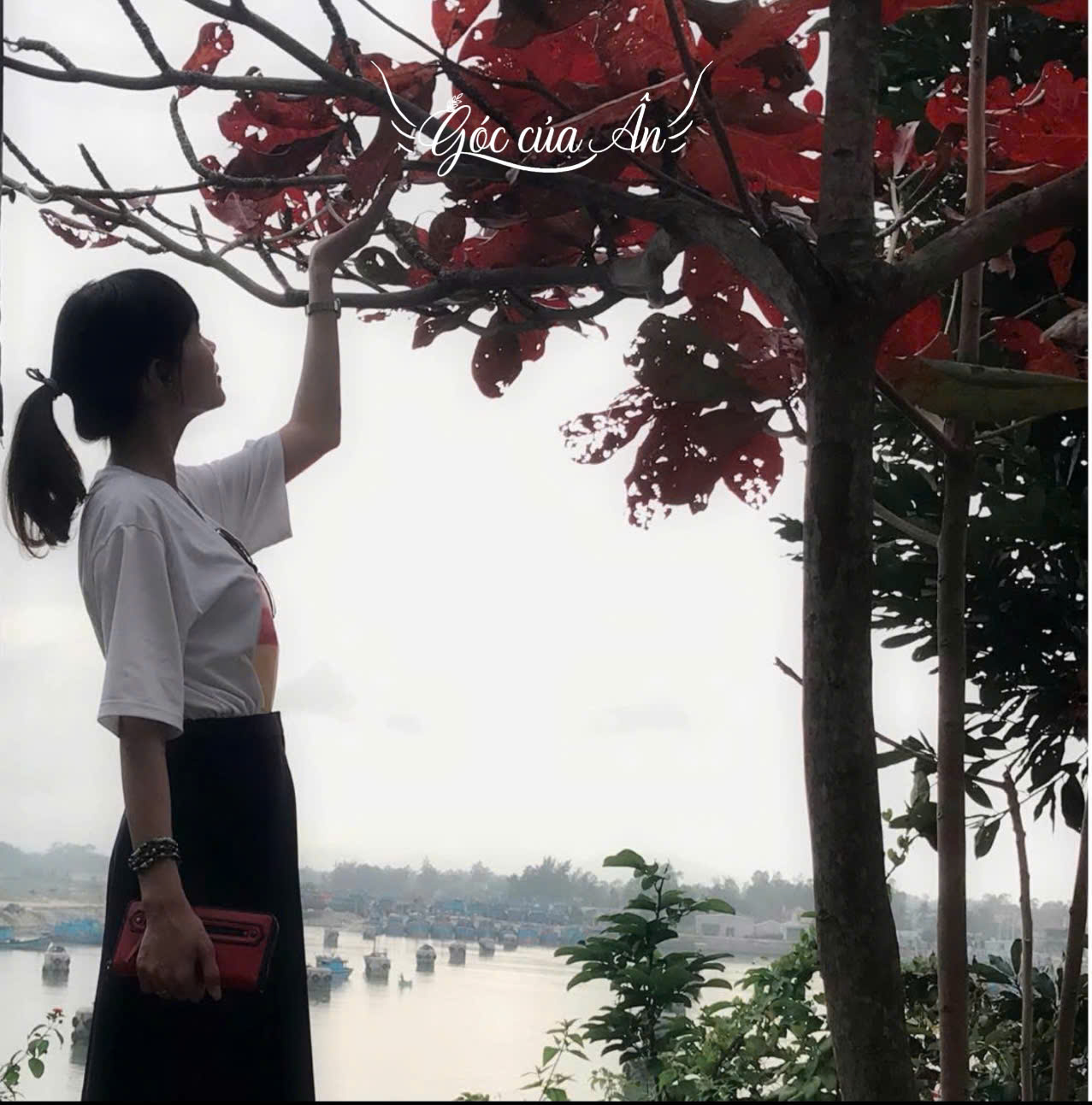 thu tàn góc của ân