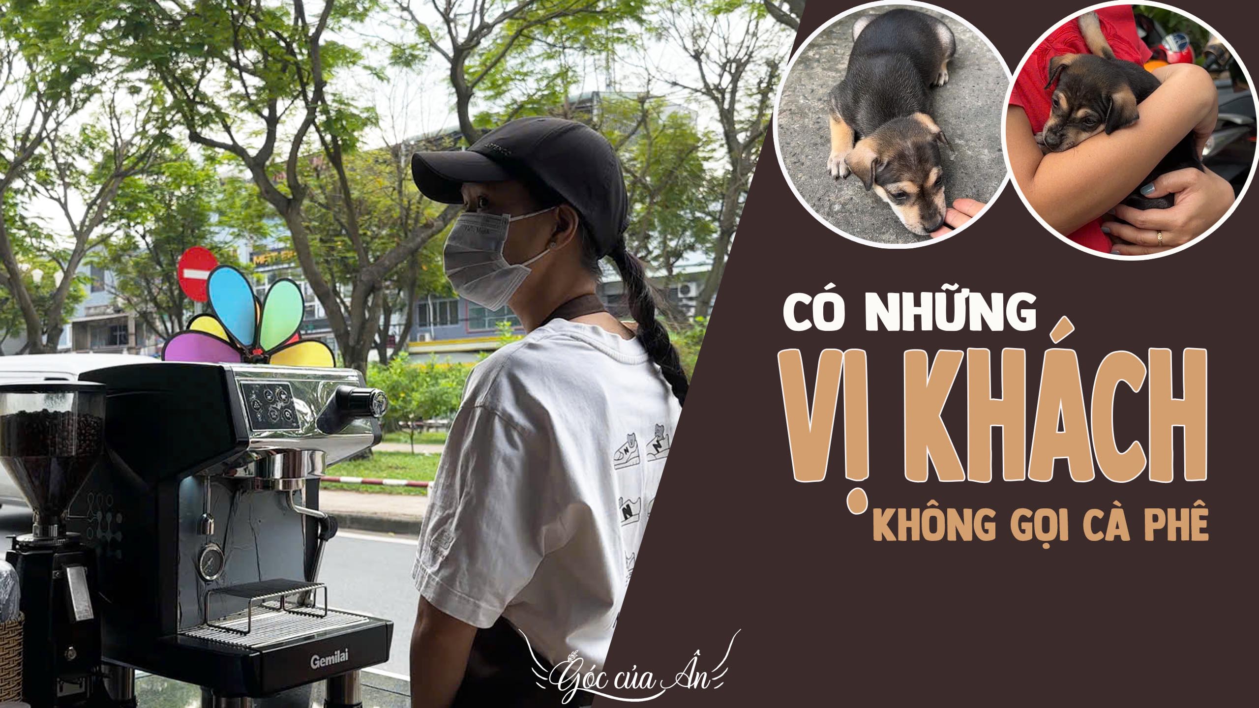 Hai Vị Khách Nhỏ Ở Tiệm Cà Phê