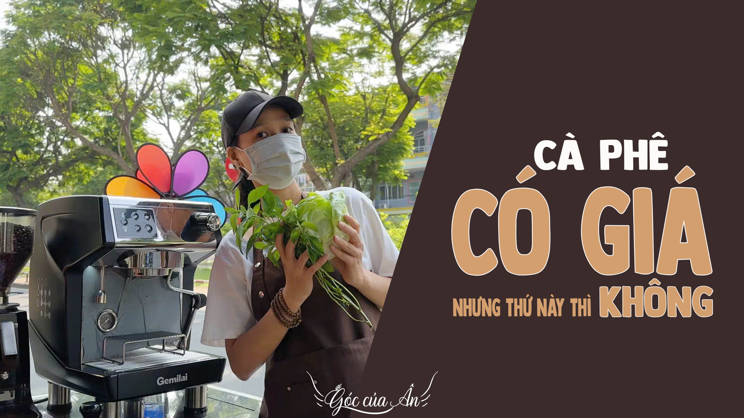 Bó Rau Xanh Giữa Quầy Cà Phê